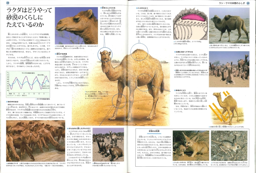 動物の生態図鑑