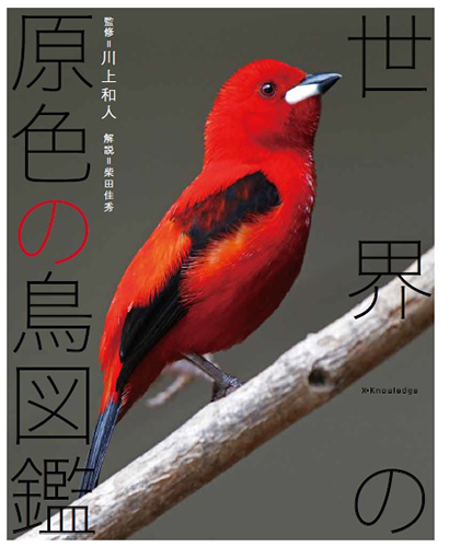 世界の原色の鳥図鑑