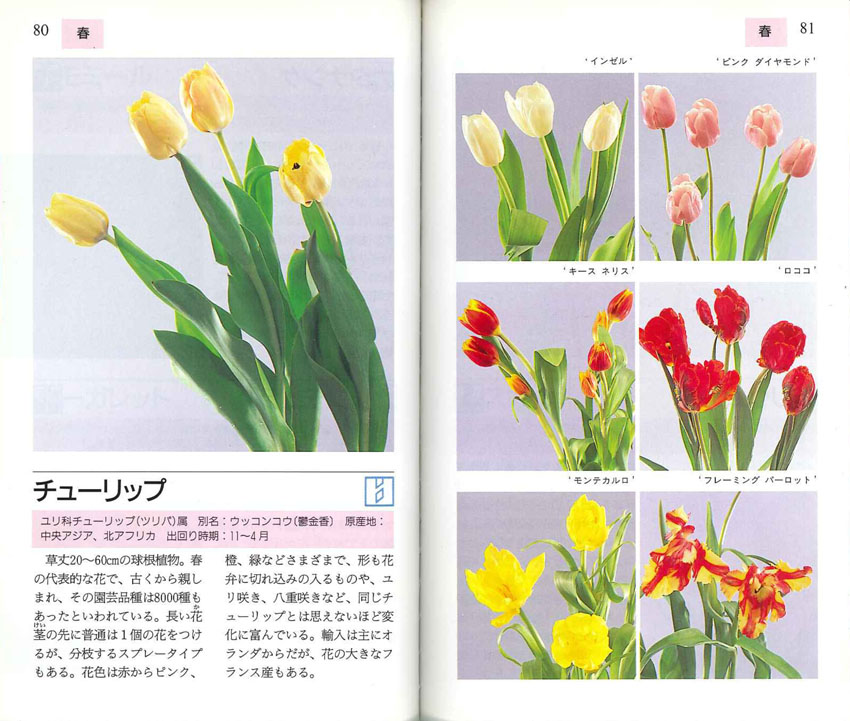 暮らしを彩る花屋さんの花ガイドブック